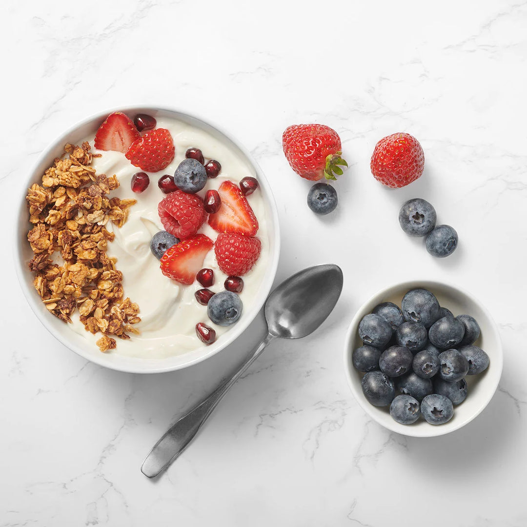 RICARDO YOGURT MAKER