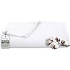 ROYALE T300 THREAD COUNT FLAT SHEET - WHITE QUEEN