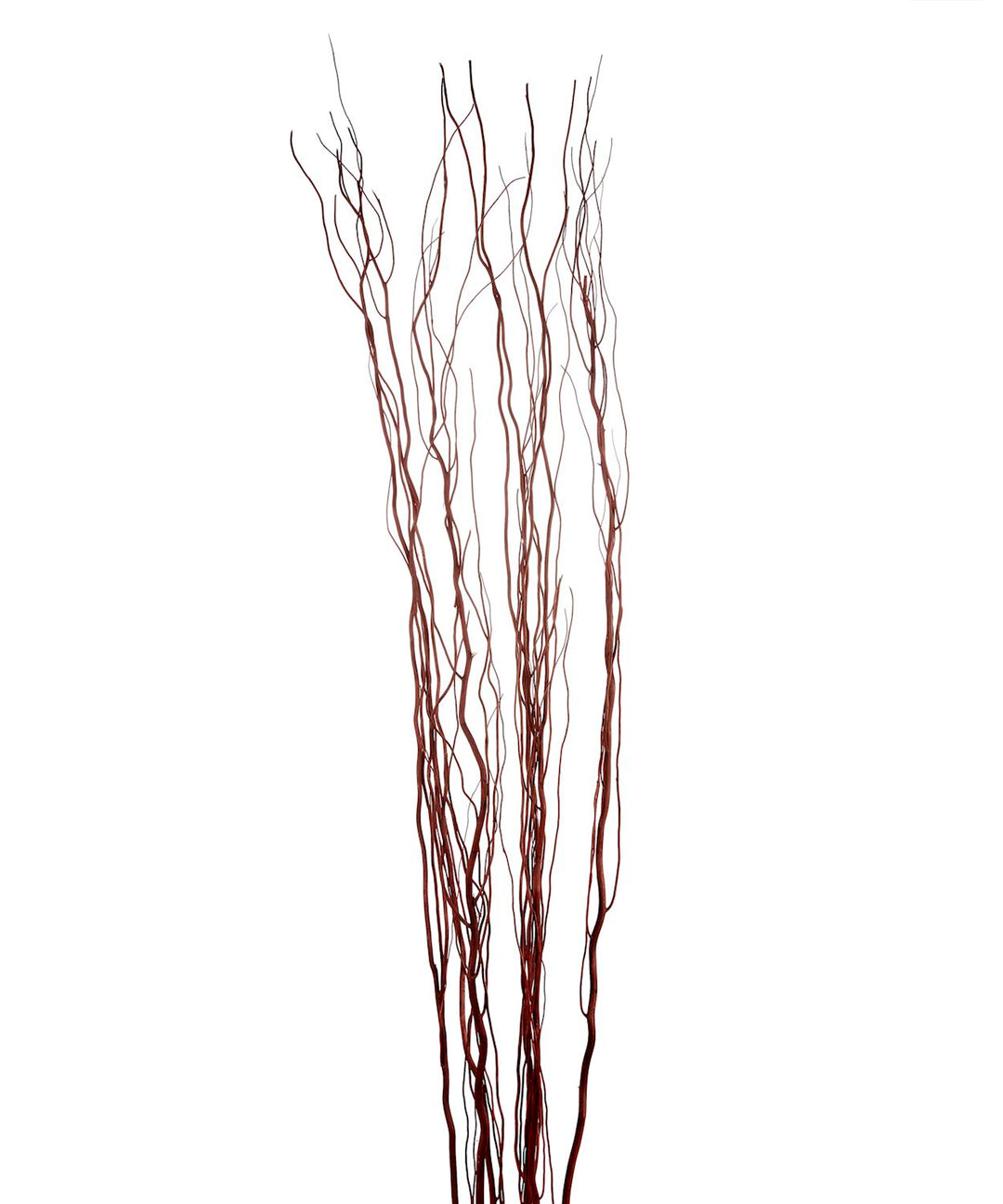 BROWN NATURAL SALIX BUNDLE