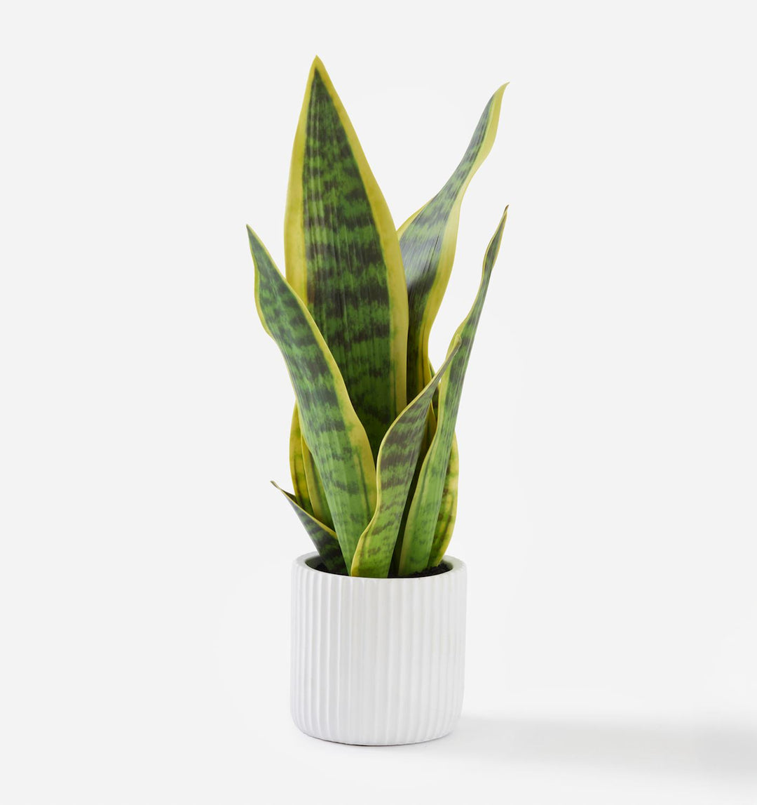 LIFE-LIKE SNAKE POTTED PLANT