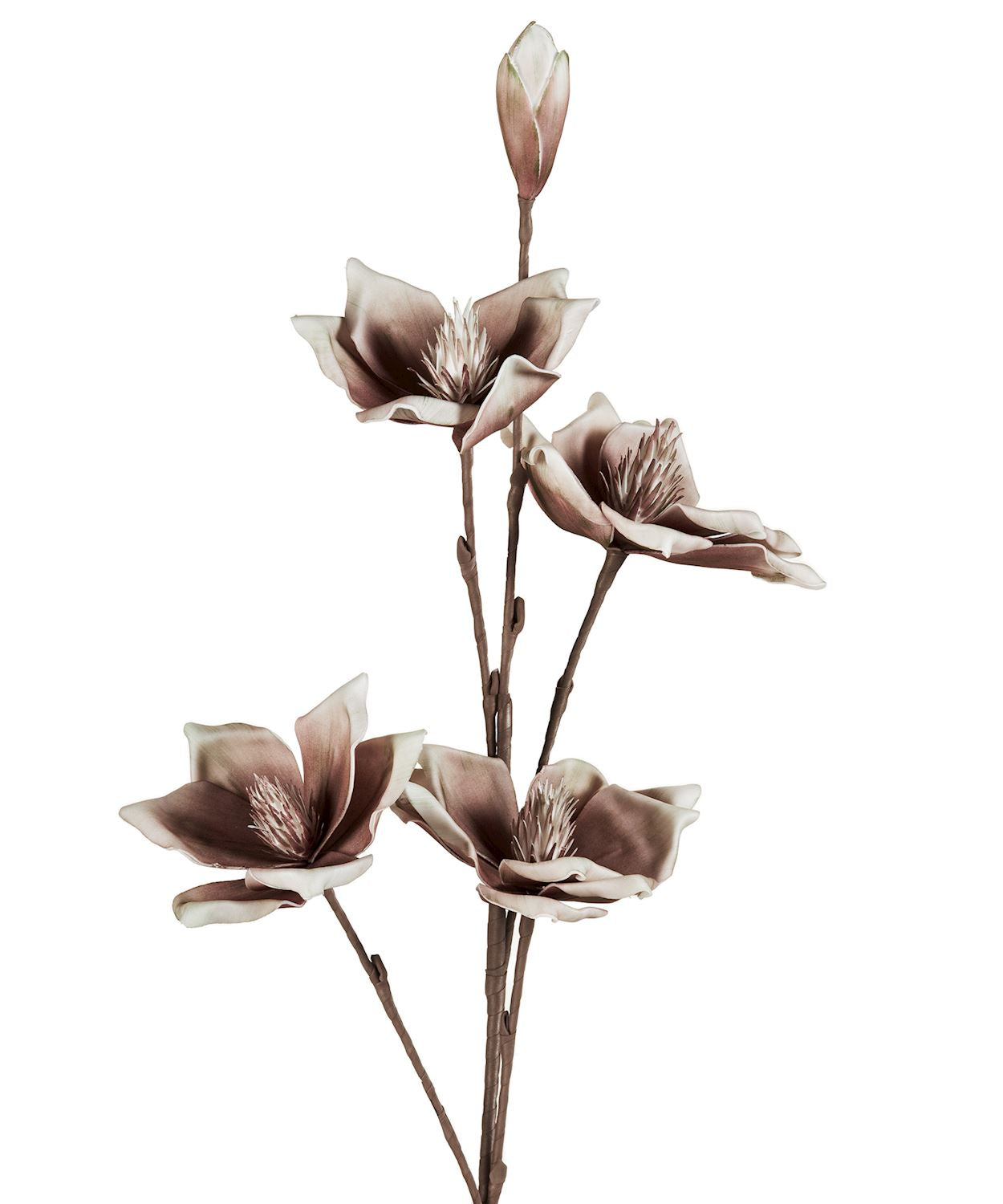 EVA/IRON LIFE-LIKE MAGNOLIA STEM