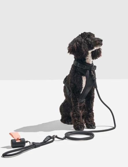 HANDS-FREE ROPE LEASH - BLACK