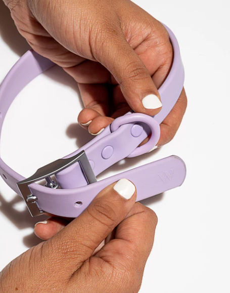 WATERPROOF DOG COLLAR - LARGE, LILAC