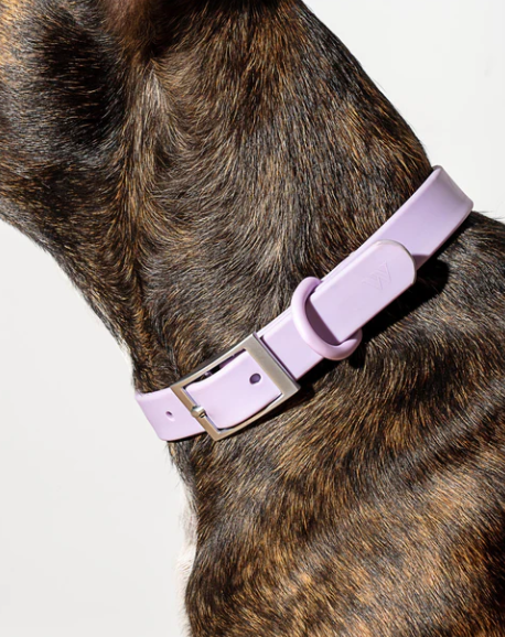 WATERPROOF DOG COLLAR - LARGE, LILAC