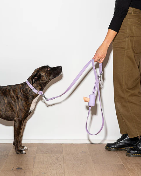 WATERPROOF DOG COLLAR - LARGE, LILAC