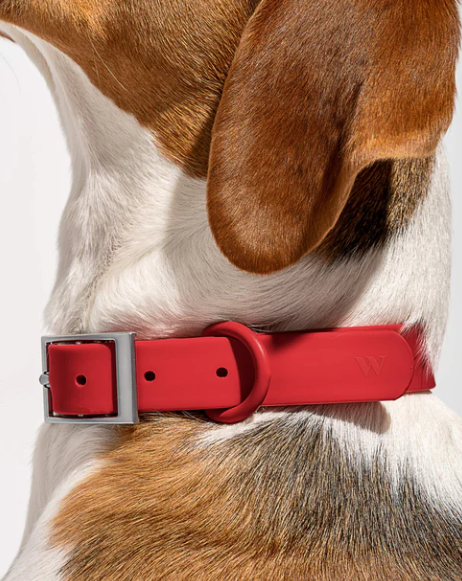 WATERPROOF DOG COLLAR - EXTRA SMALL, STRAWBERRY