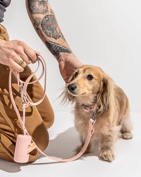 WATERPROOF DOG COLLAR - MEDIUM, BLUSH