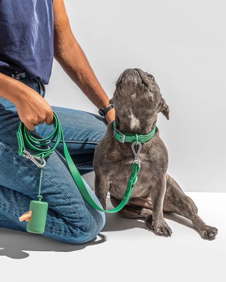 WATERPROOF DOG COLLAR - MEDIUM, SPRUCE