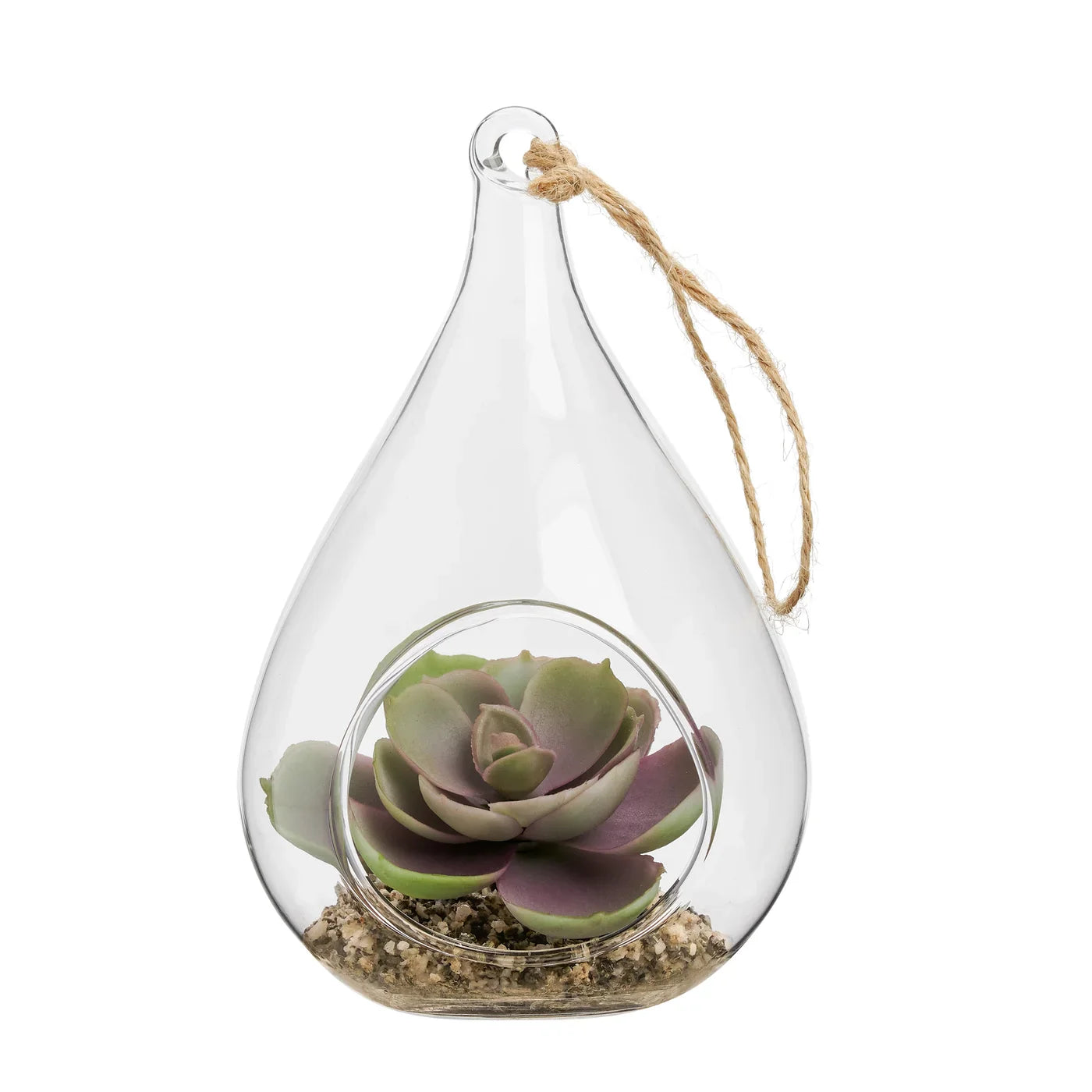 HANGING GLASS TEARDROP POTTED SUCCULENT/ECHEVERIA 5''H