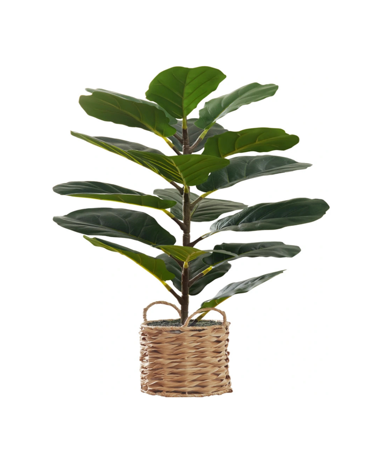 TALL ARTIFICIAL POTTED FIDDLE TREE 28"