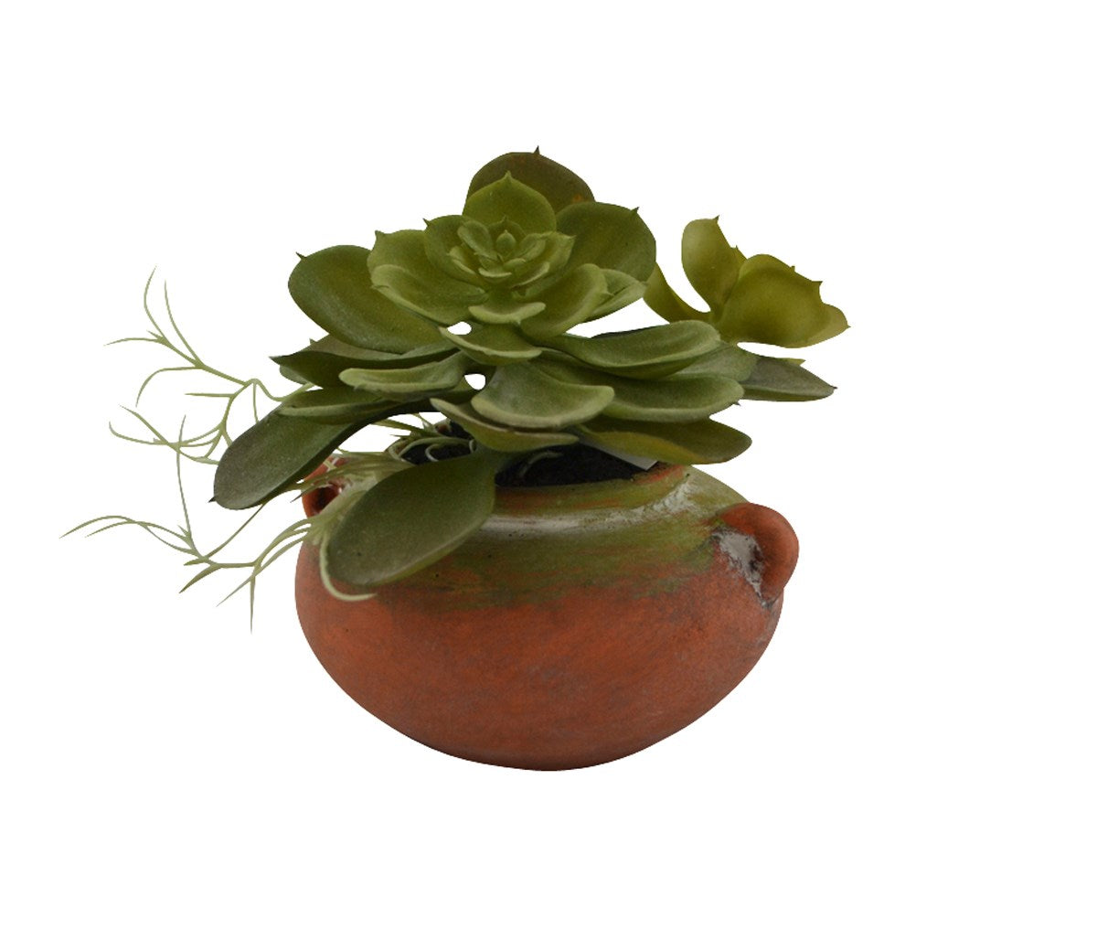 BALL VASE W/ SUCCULENTS