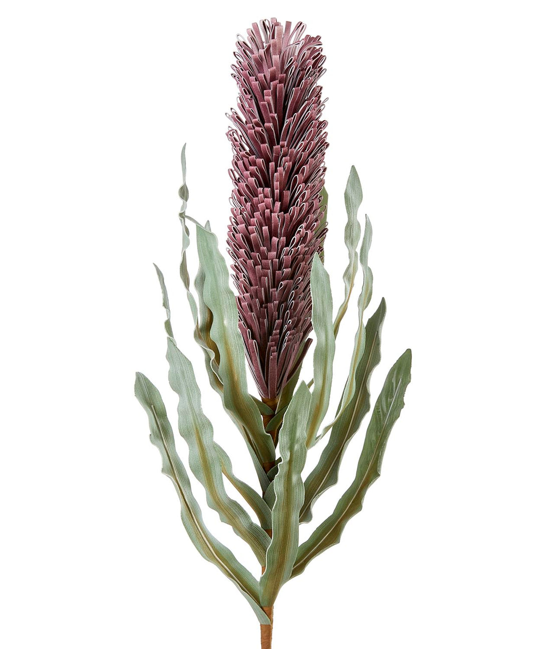 ARTIFICIAL PURPLE BANKSIA FLORAL STEM