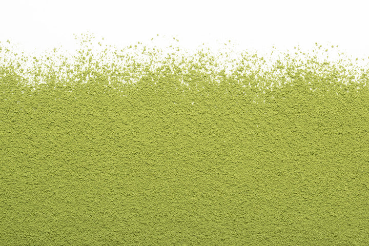 MATCHA BARISTA 100G