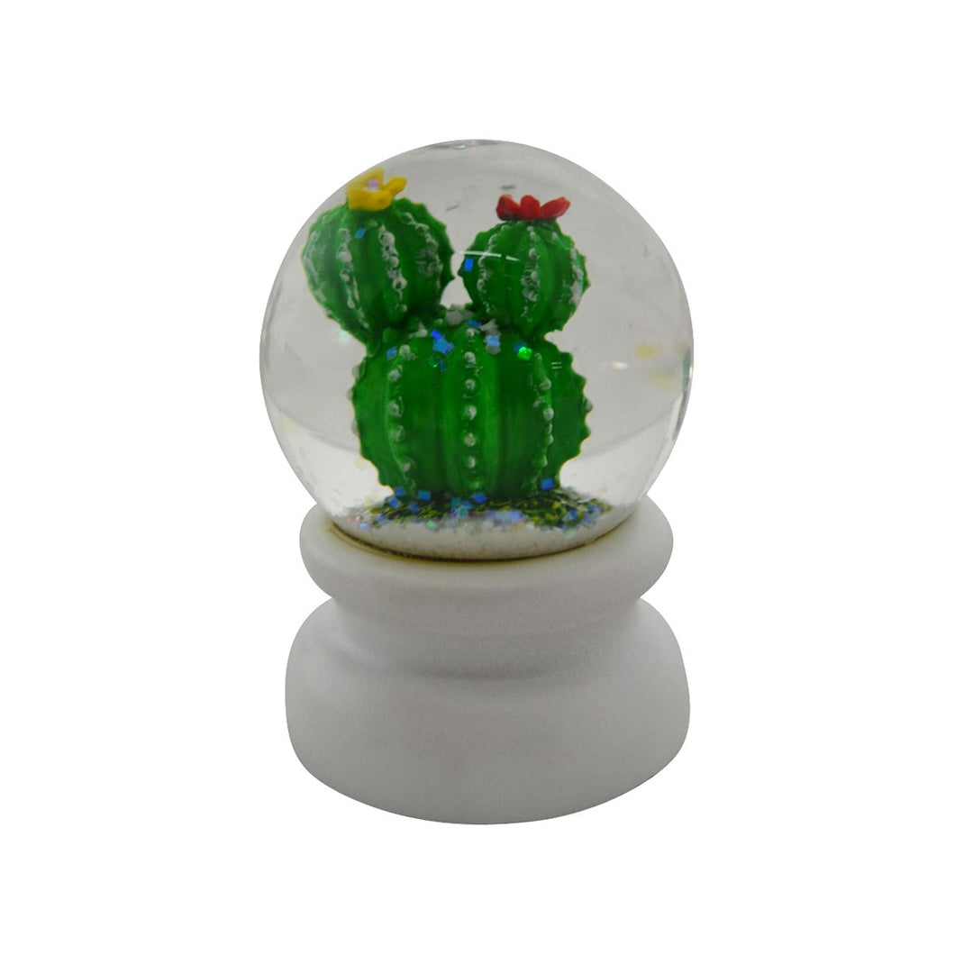 WATER BALL CACTUS