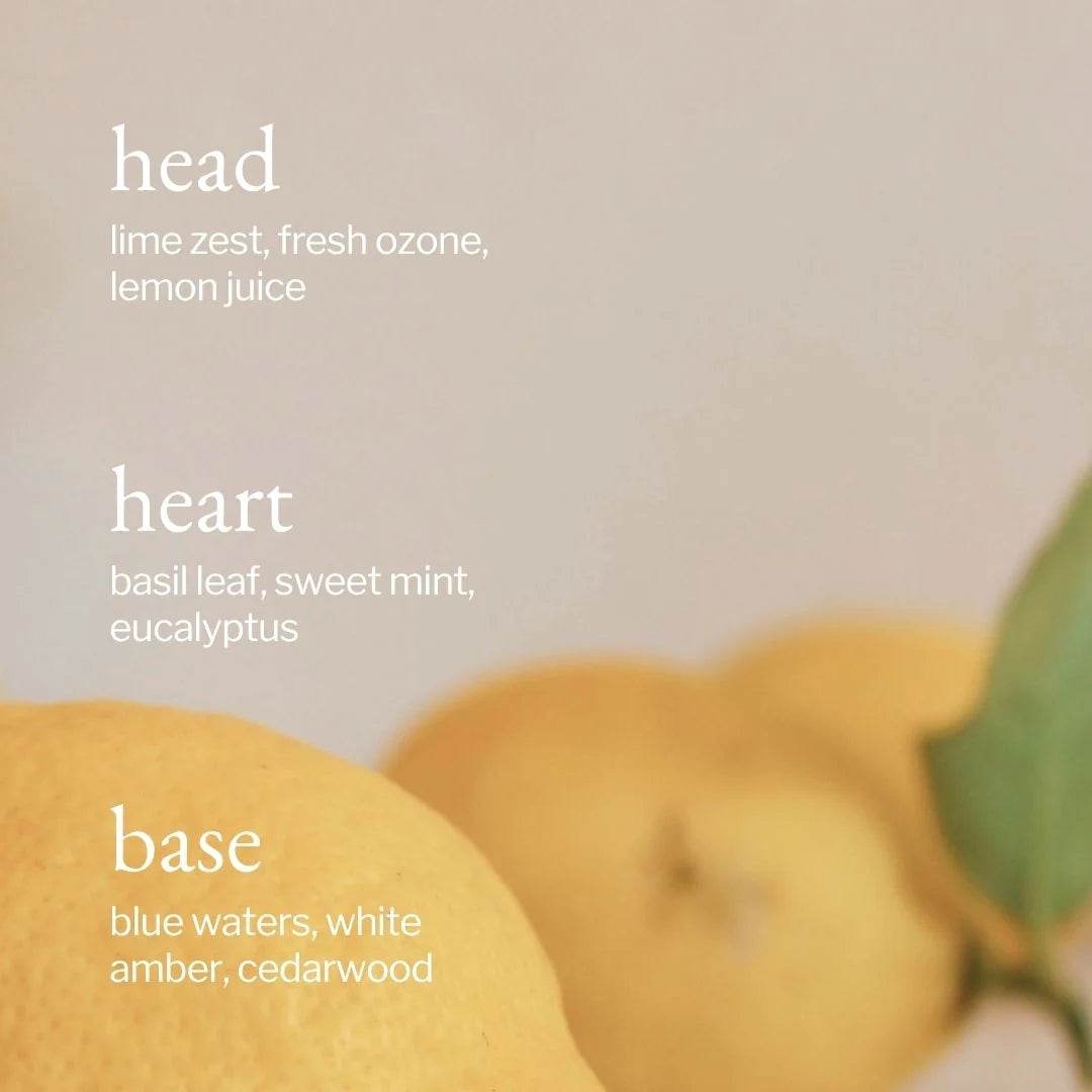 ALL PURPOSE CLEANER - LEMON, SAGE &amp; ROSEMARY