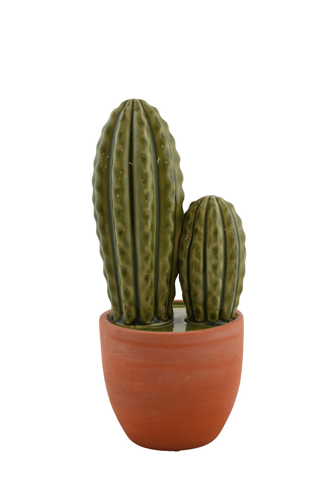 CACTUS WITH POT