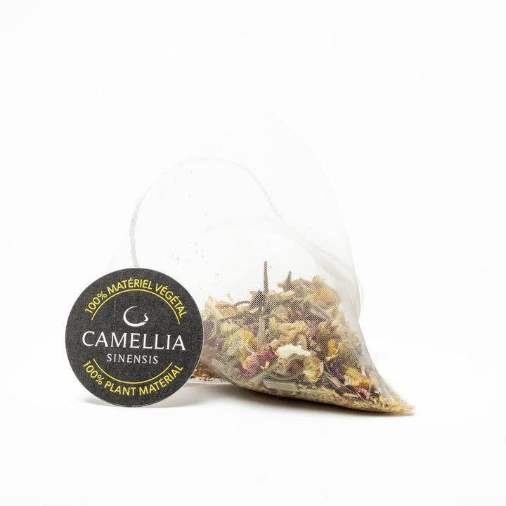 LEMON GINGER BURST ORGANIC (15 TEABAGS)