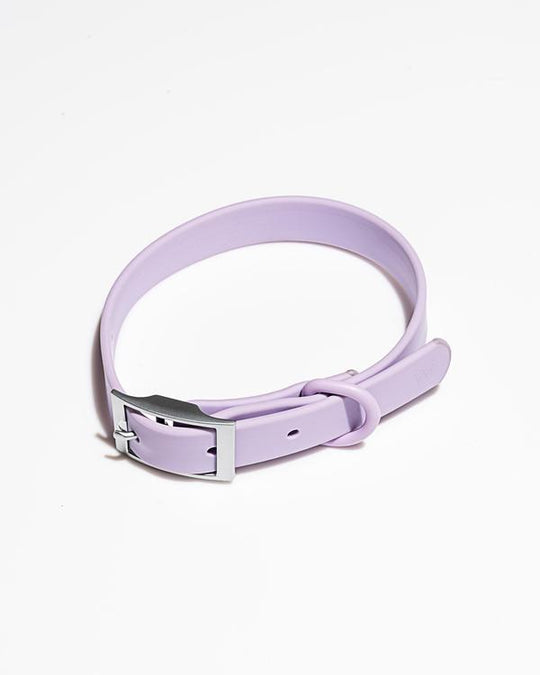 SMALL COLLAR (NECK: 8-12", STRAP WIDTH: 3/4") - LILAC