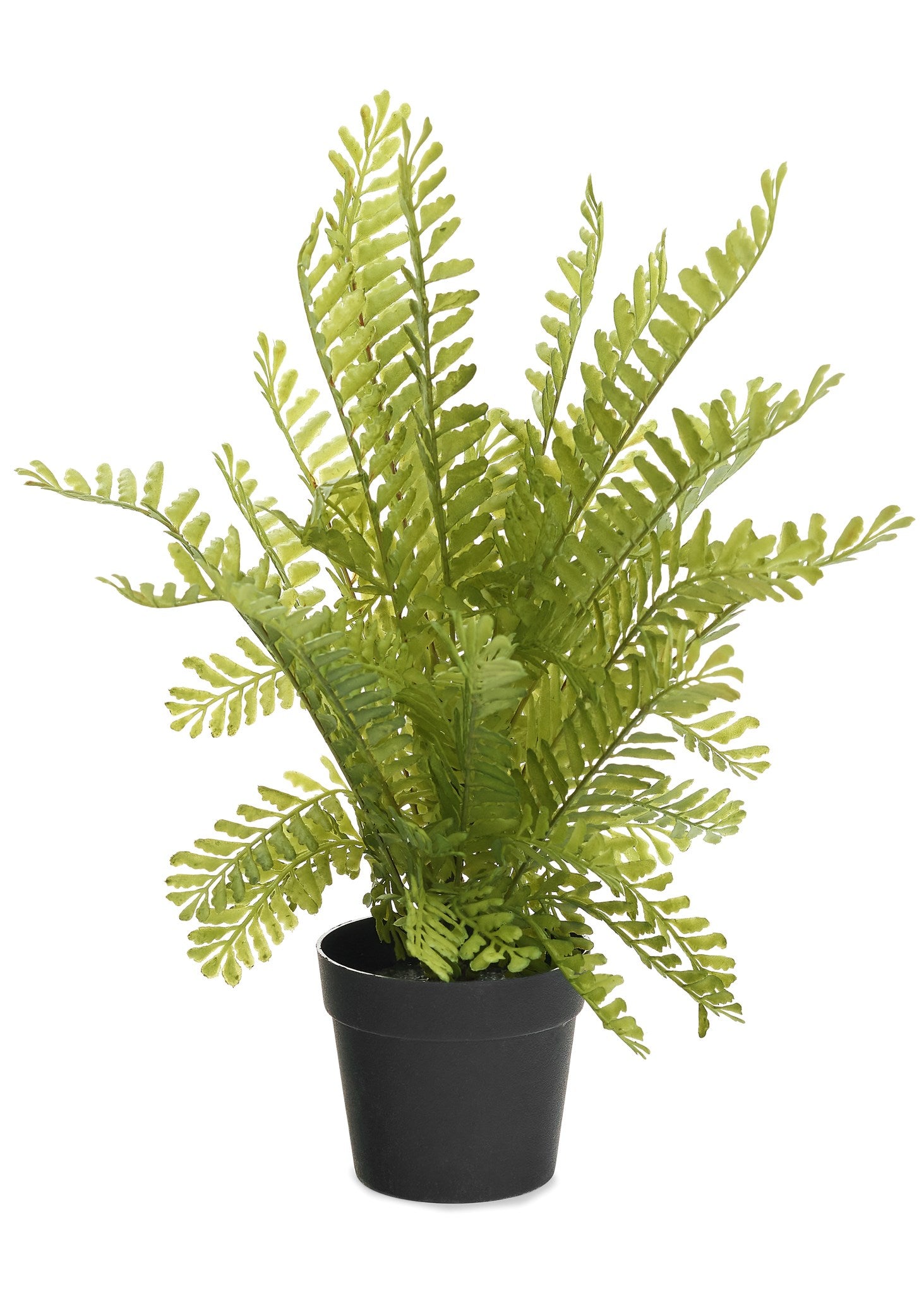 PLASTIC POTTED FERN - GREEN 9X14