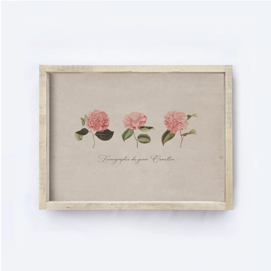 VINTAGE FLOWER A156 AGED FARMHOUSE 12X9&