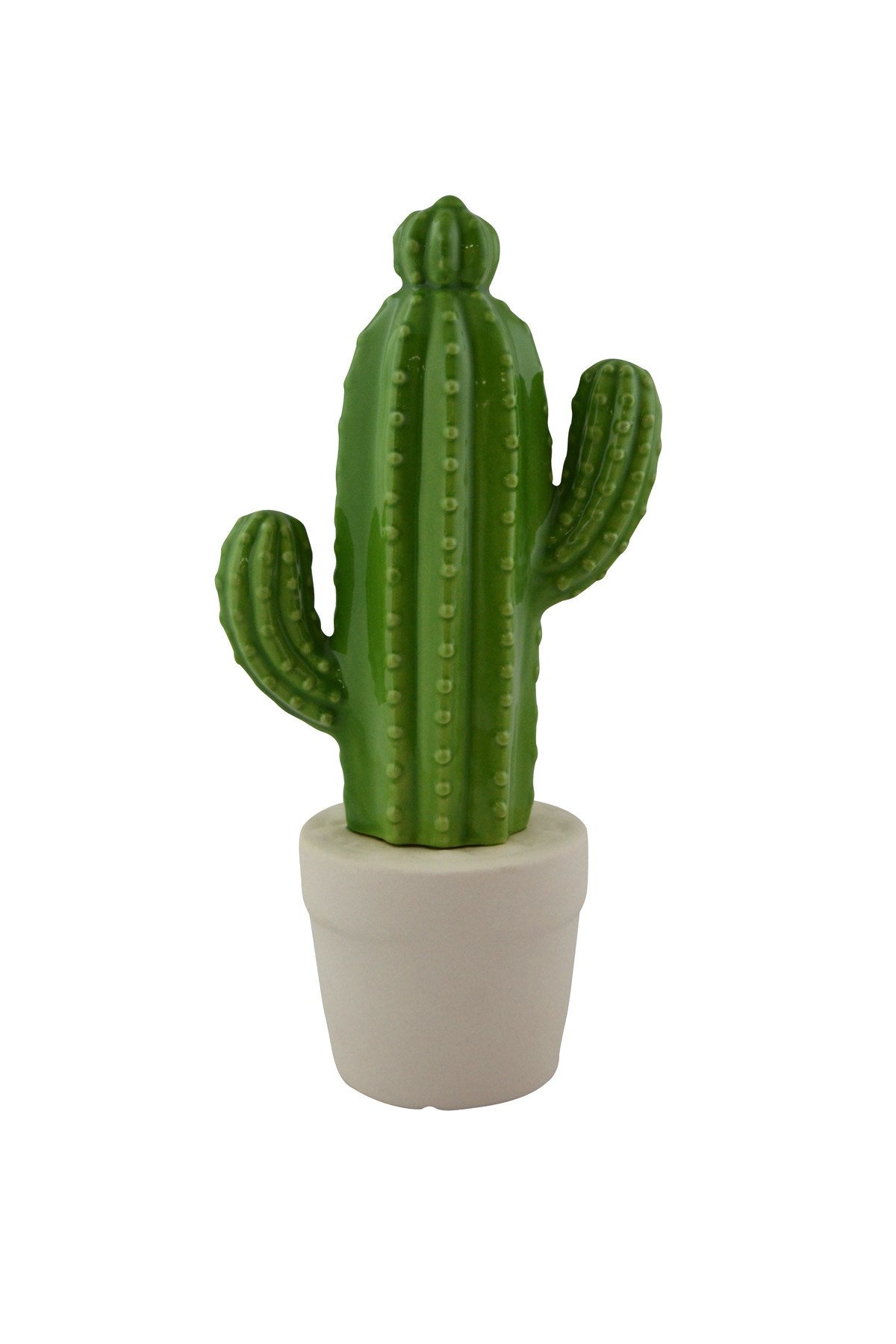 GREEN CACTUS