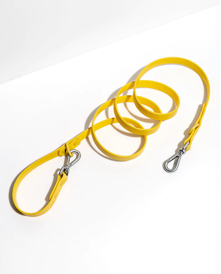 WILD ONE SMALL LEASH - BUTTER