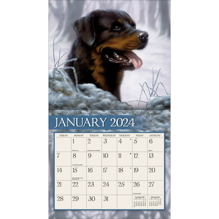 LANG Calendar - Love of Dogs 2024