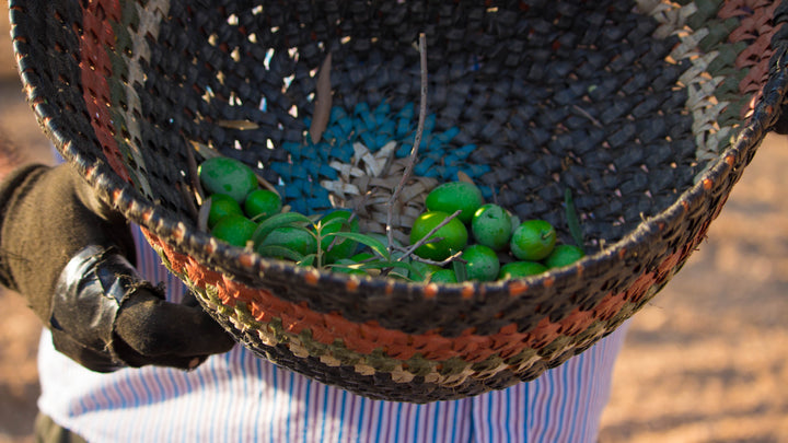 CARMONA OLIVES MIX 345G