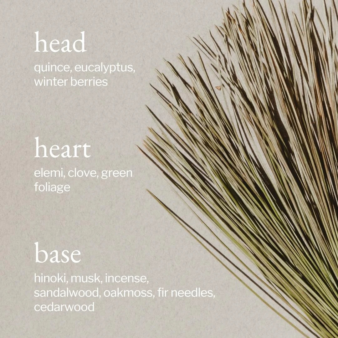 STARTER KIT - PORTABLE DIFFUSER - PINE + CEDAR BARK 7ML