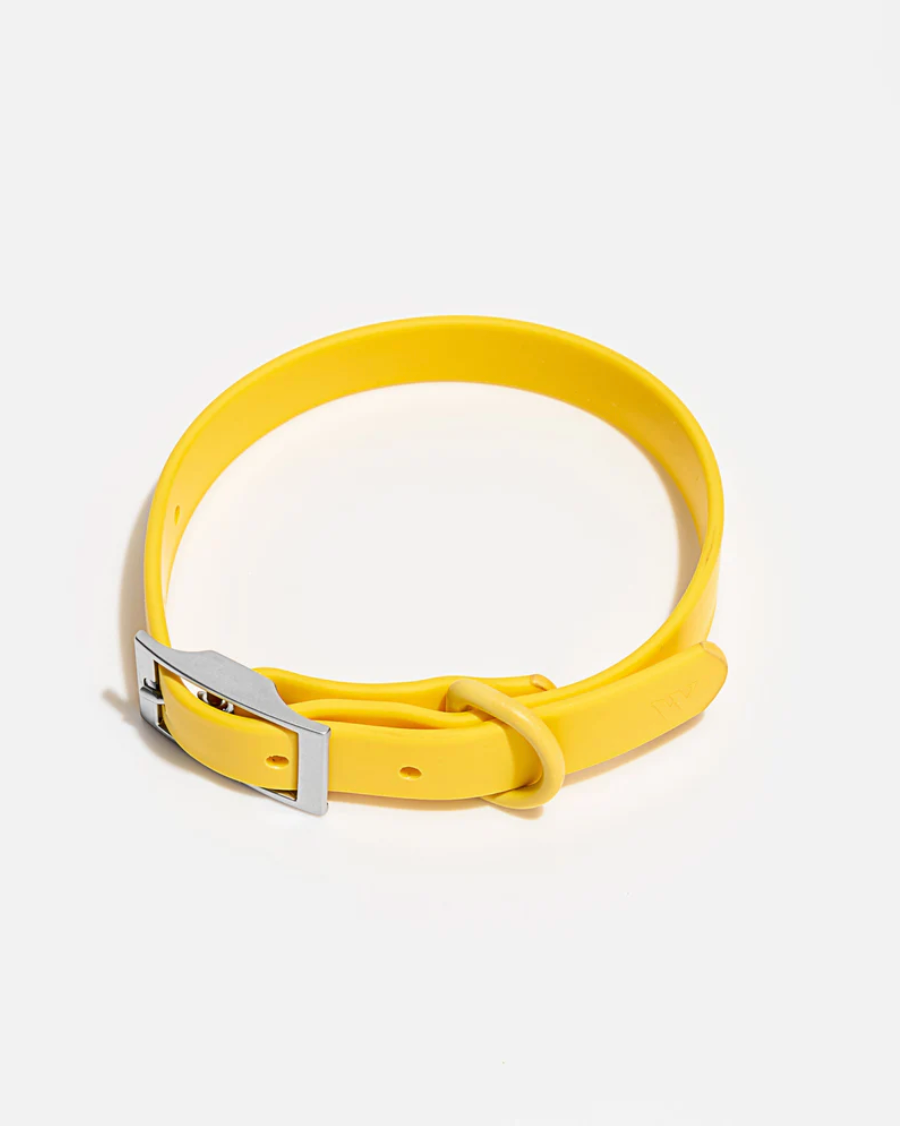 WILD ONE SMALL COLLAR - BUTTER