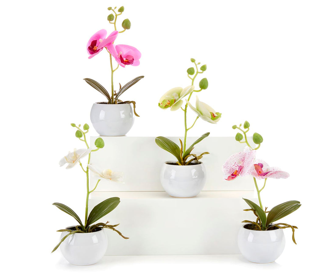 MINI ARTIFICIAL POTTED ORCHIDS, 4 ASSORTED