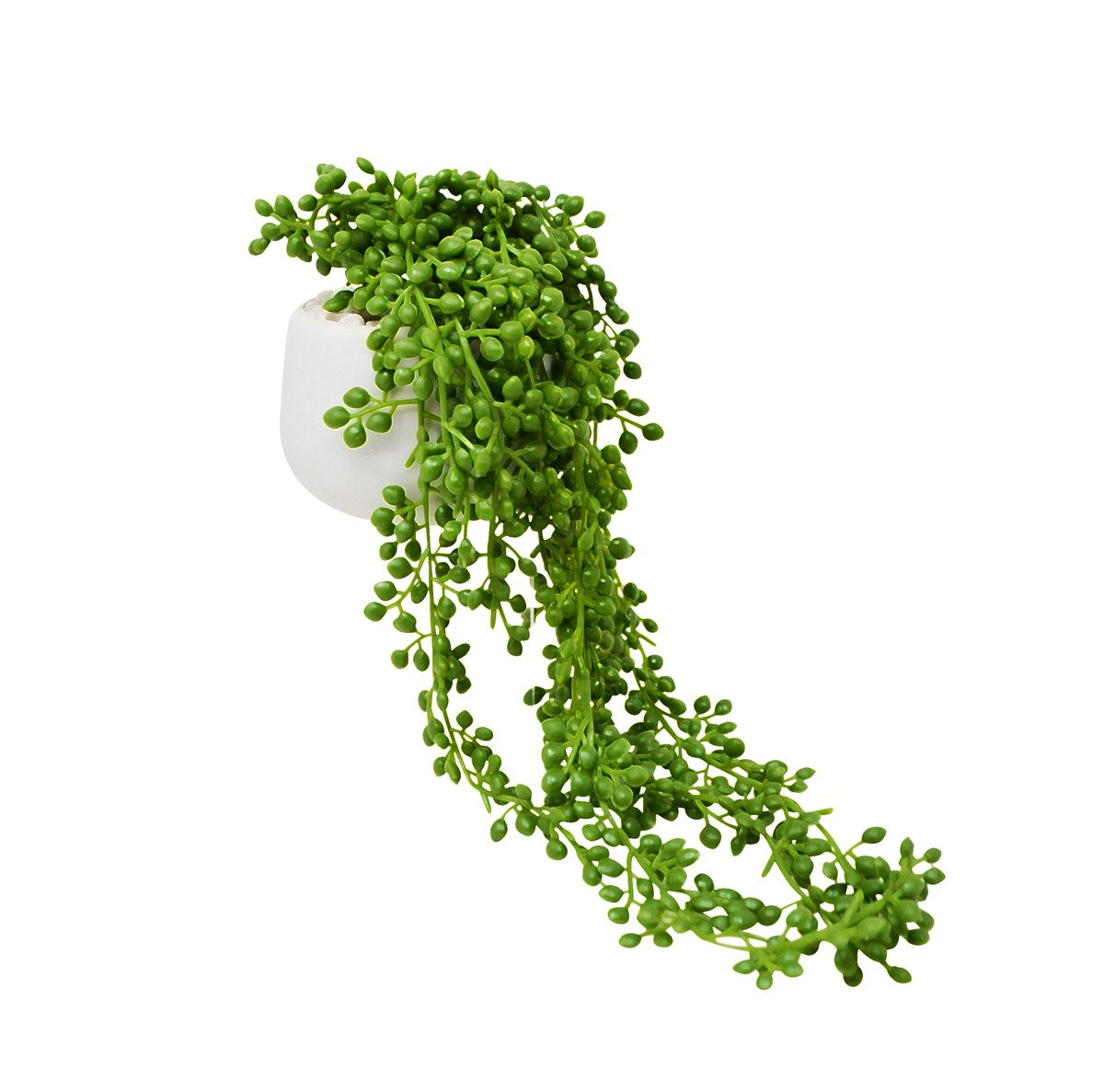 PEARL CHAIN PLANT 10X15X28CM