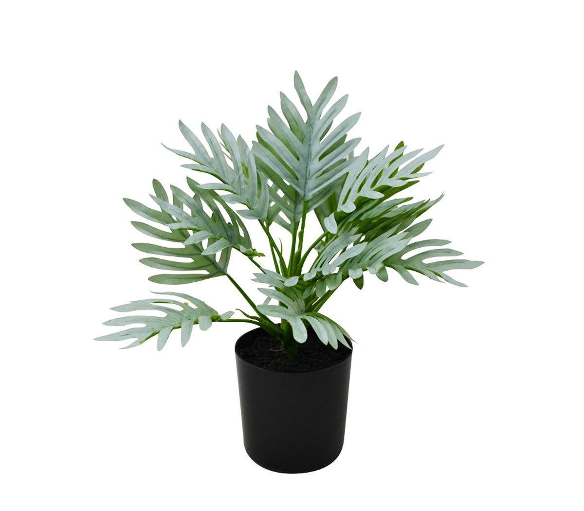 PHILODENDRON 10X10X33CM