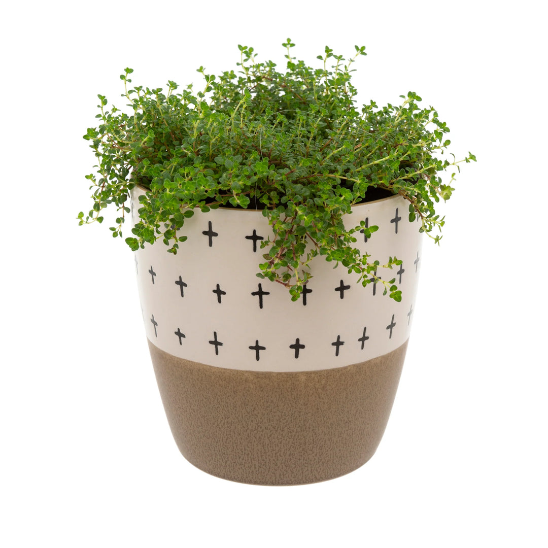 DOODLE POT - TAUPE