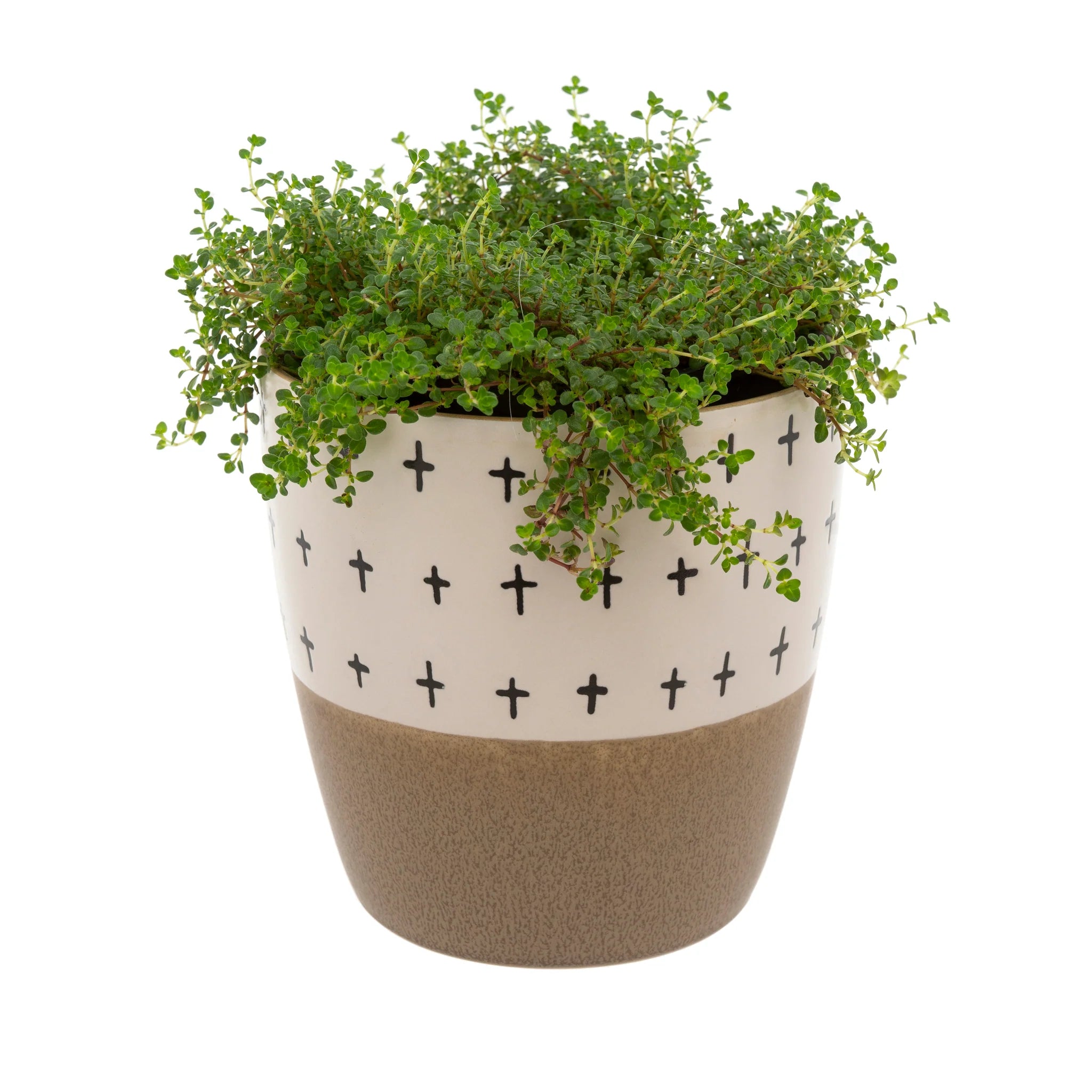 Homeware