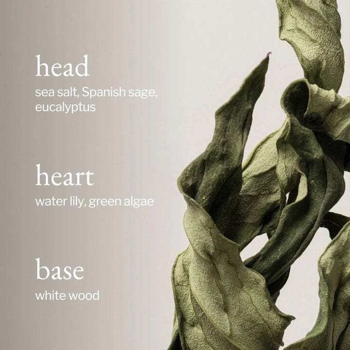 SOY WAX CANDLE - SAGE & SEA SALT 8OZ