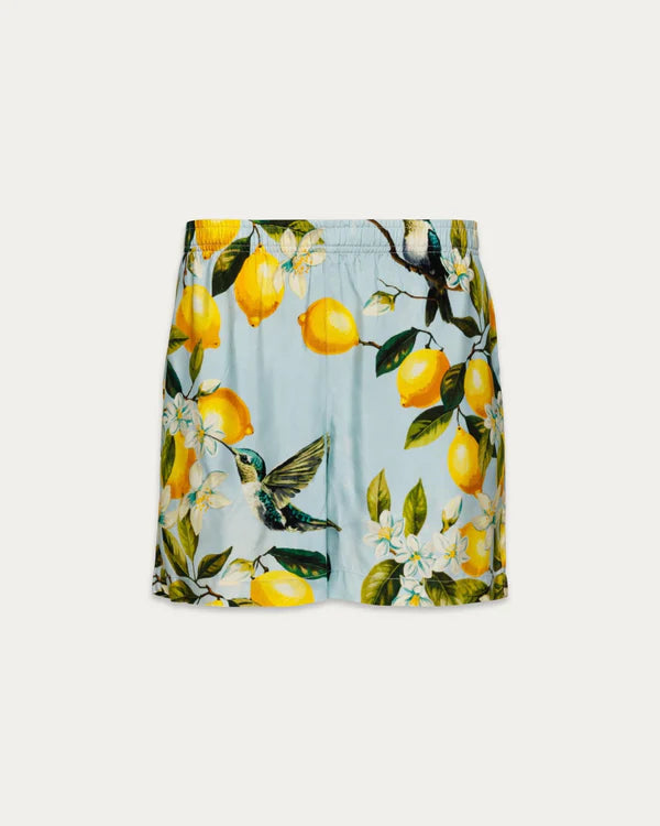 LEMON HUMMINGBIRD SHORTS "BABY BLUE"