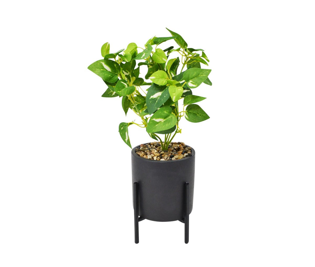 STANDING POT W/ PHILODENDRON