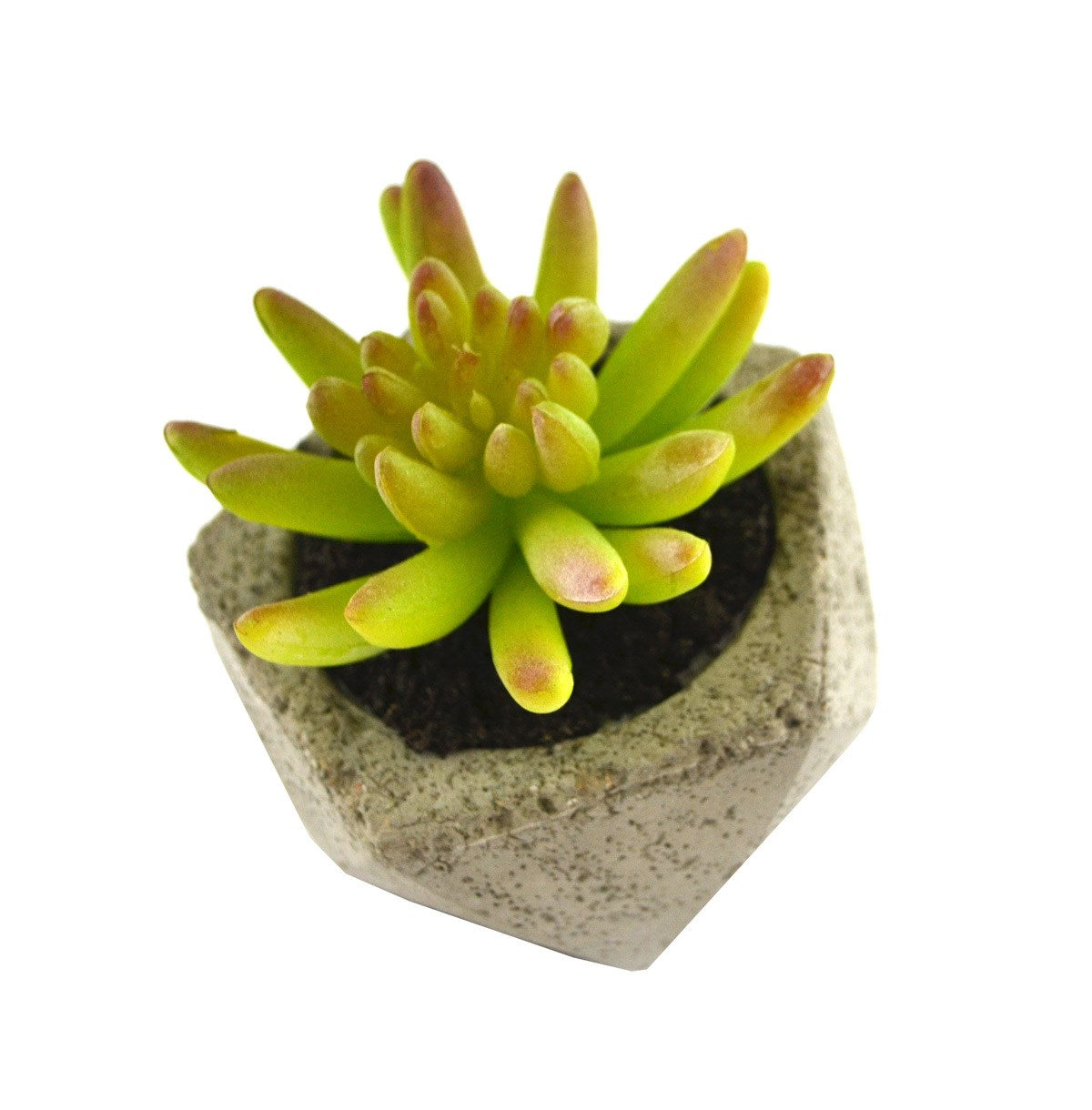 LITTLE ARTIFICIAL SUCCULENT