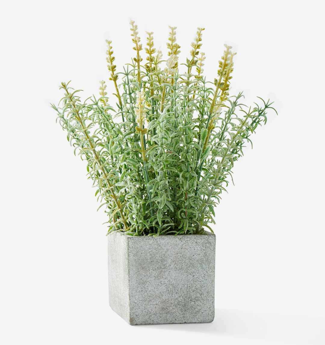 ARTIFICIAL POTTED PLANT - WHITE LAVENDER