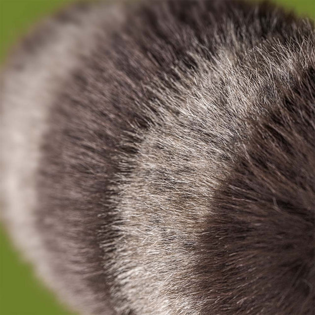 TRIXIWOO RACCOON