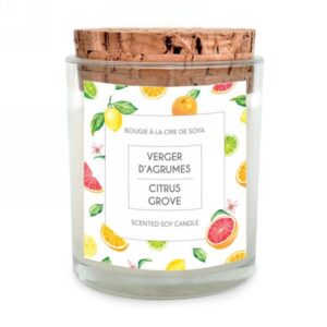 Citrus Grove Glass Candle