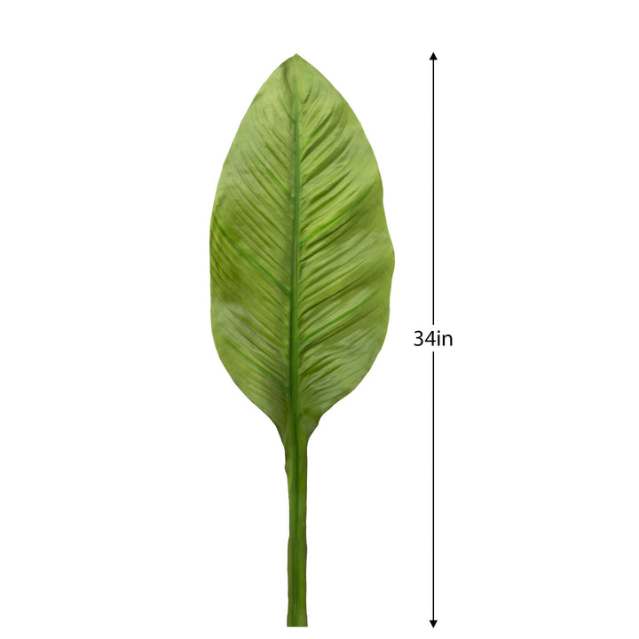 Banana Leaf Stem