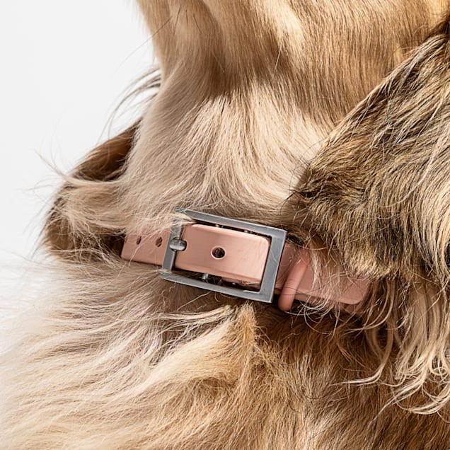 Blush dog collar hotsell