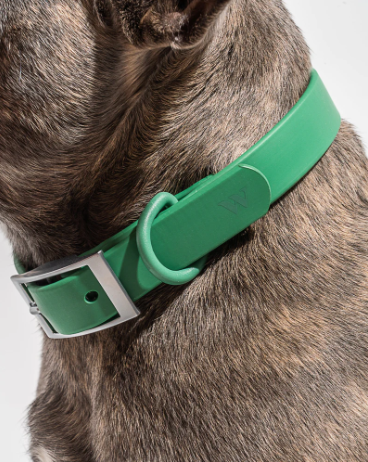 WILD ONE EXTRA SMALL COLLAR - SPRUCE