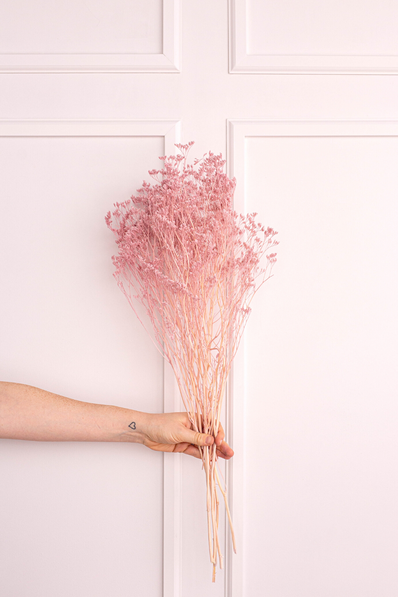 Preserved Limonium - Blush Pink