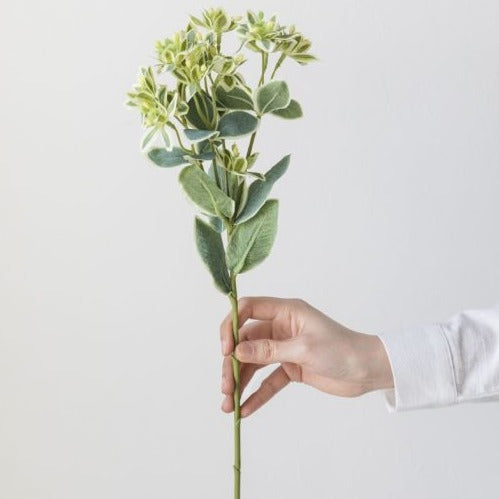 Green Foliage Branch