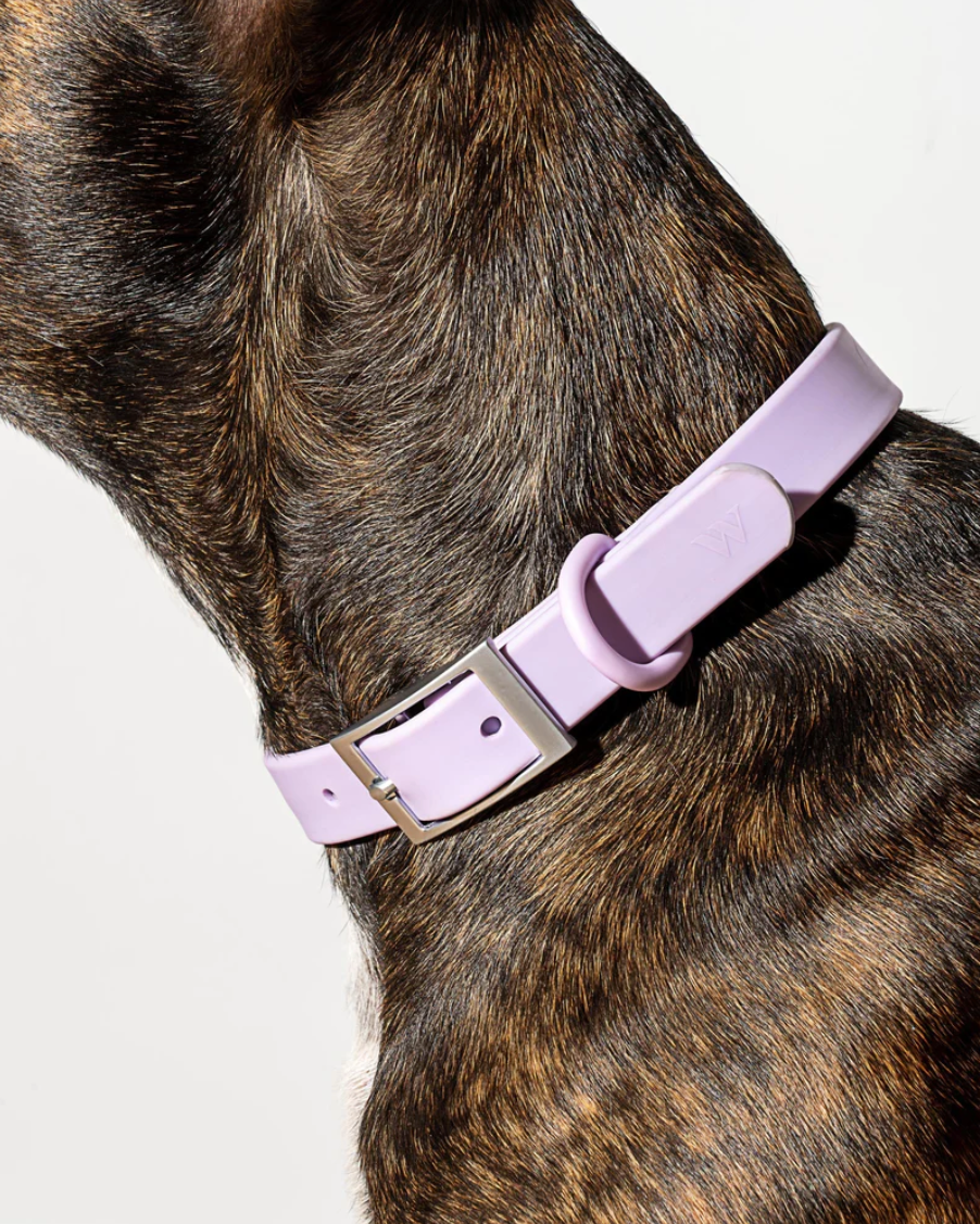 WILD ONE EXTRA SMALL COLLAR - LILAC