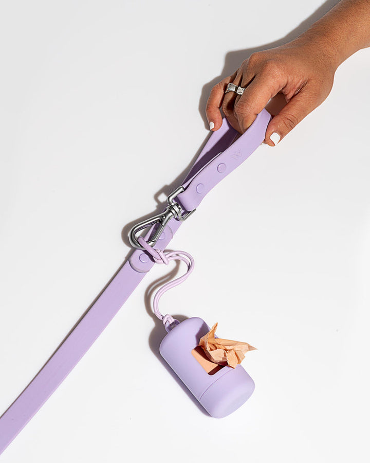 WILD ONE SMALL LEASH - LILAC