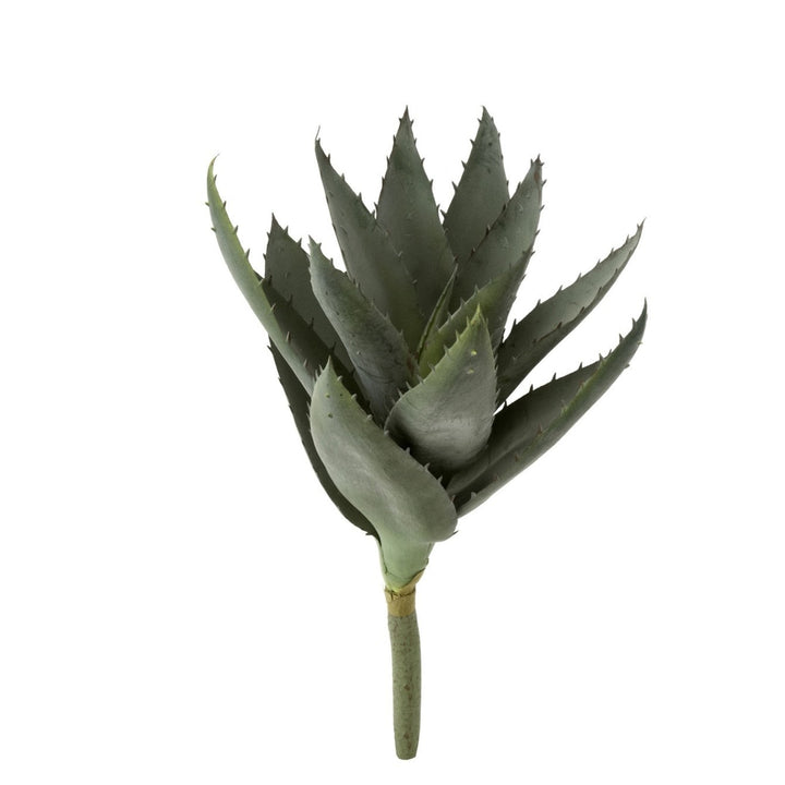 Aloe Pick
